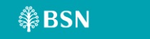 BSN Logo