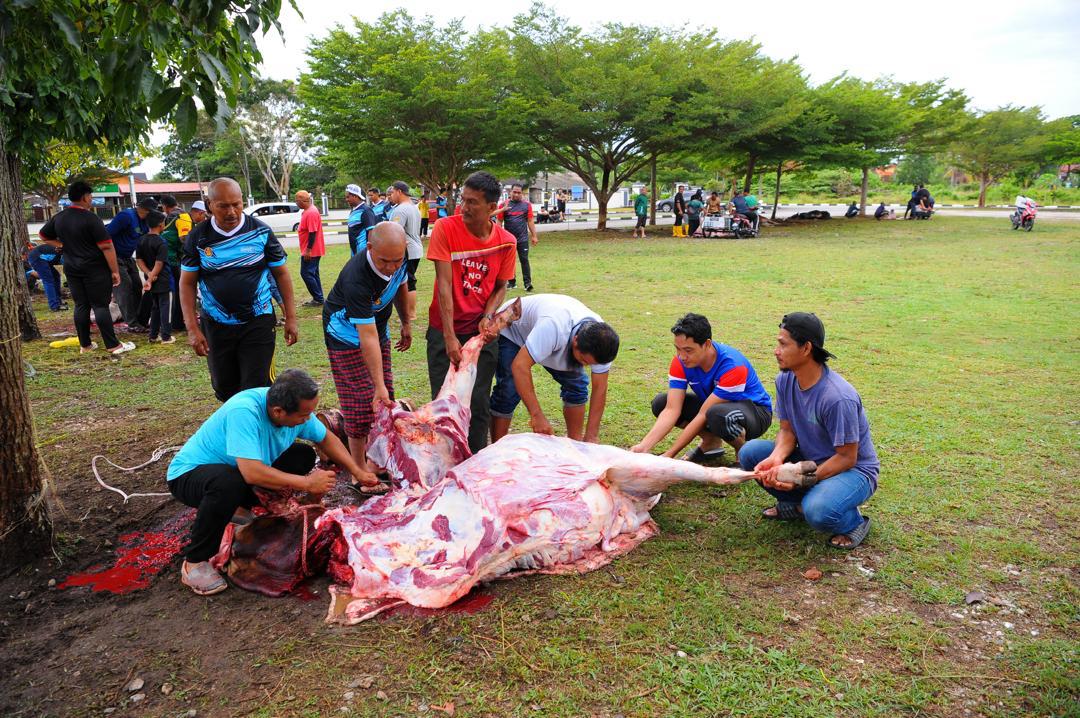 PROGRAM IBADAH QURBAN MAIDAM TAHUN 2025